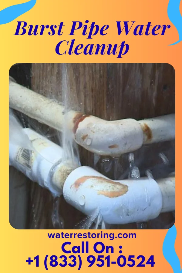 Burst Pipe Water Cleanup in Monterey, IN