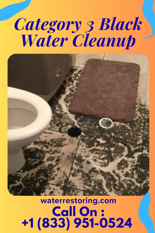 Category 3 Black Water Cleanup in Monterey, IN