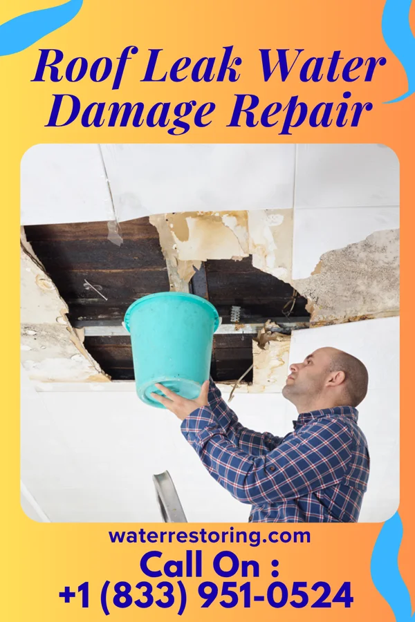 Roof Leak Water Damage Repair in Monterey, IN